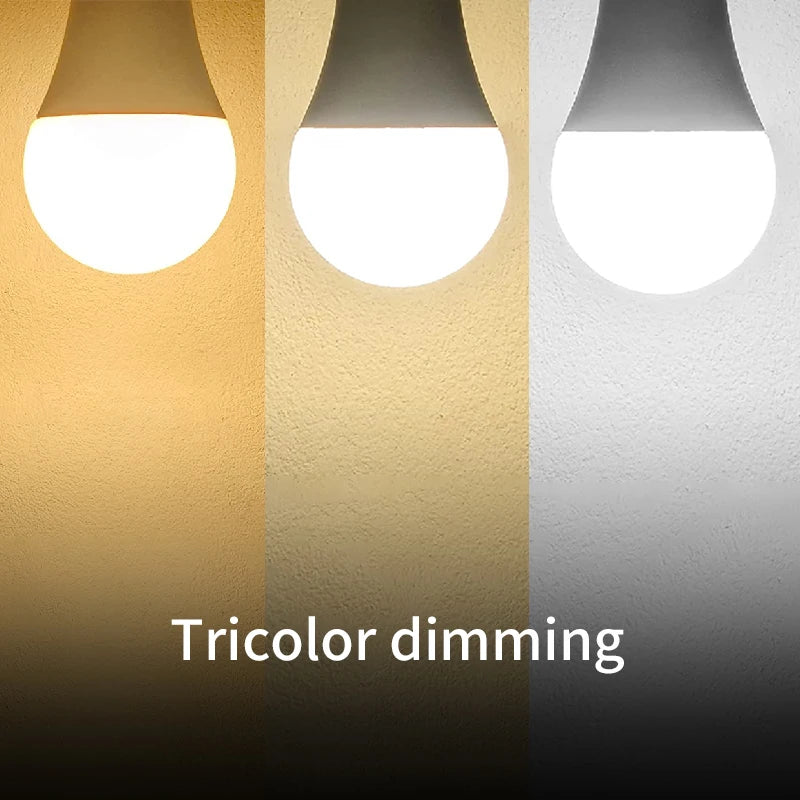 LED Bulbs