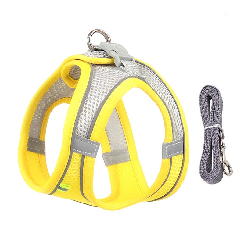 Dog Harness Set