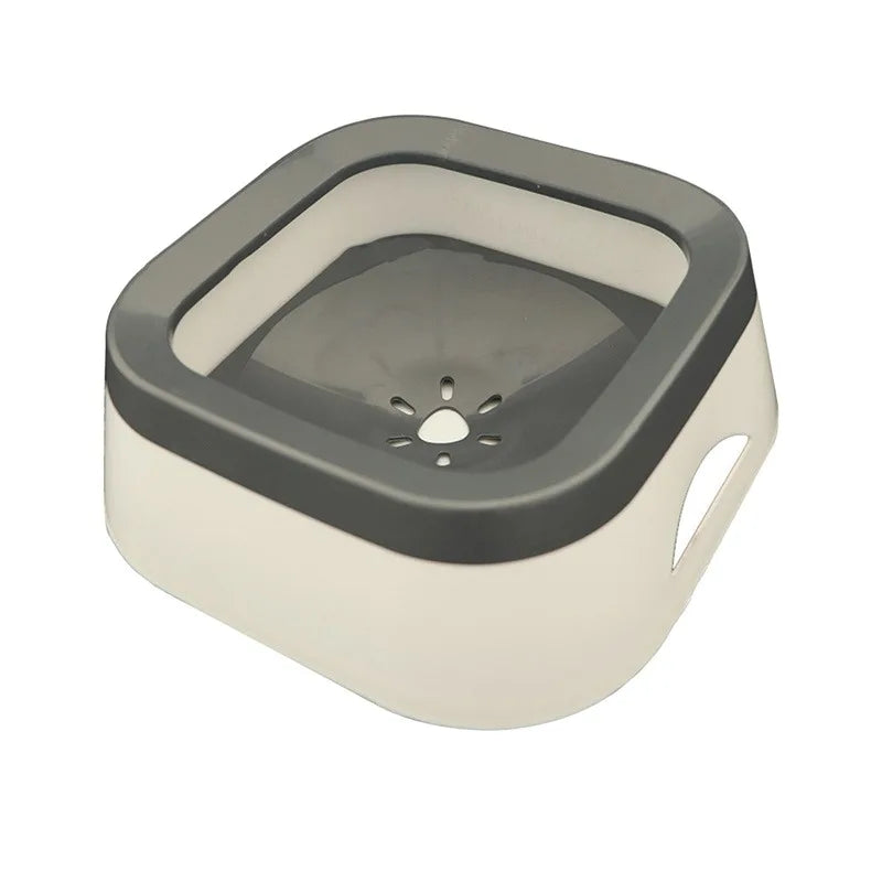Splash Bowl