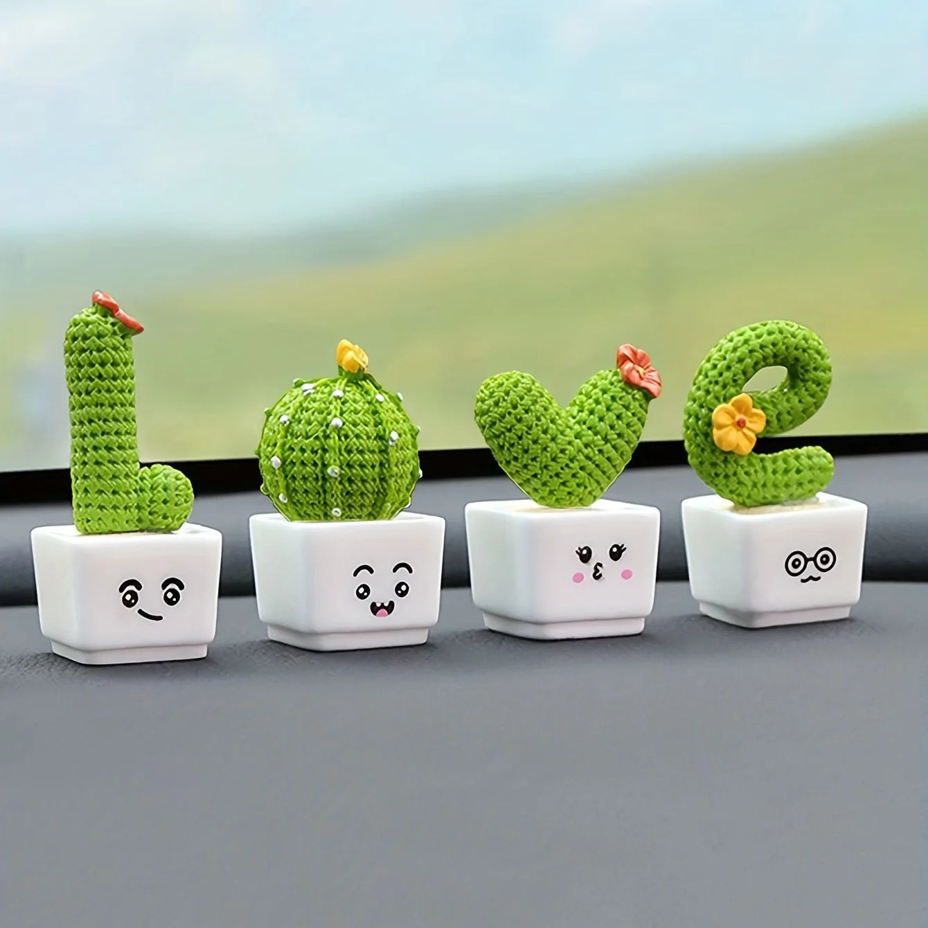 Mini Cactus