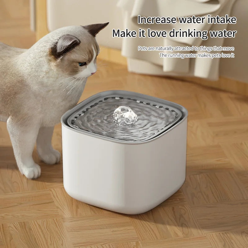 Cat Water Dispenser