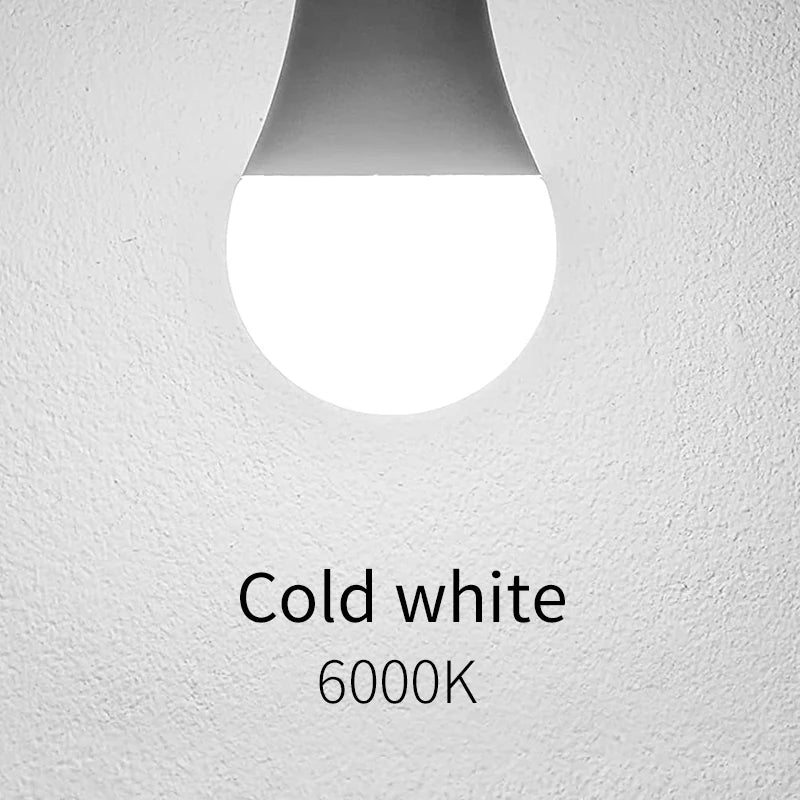 LED Bulbs