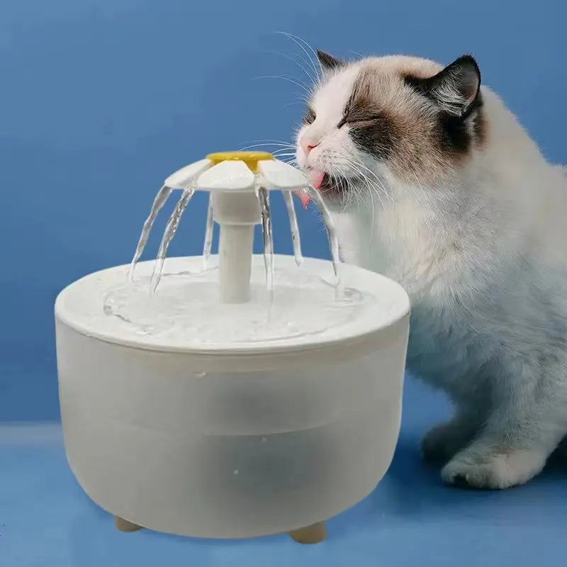 Pet Fountain