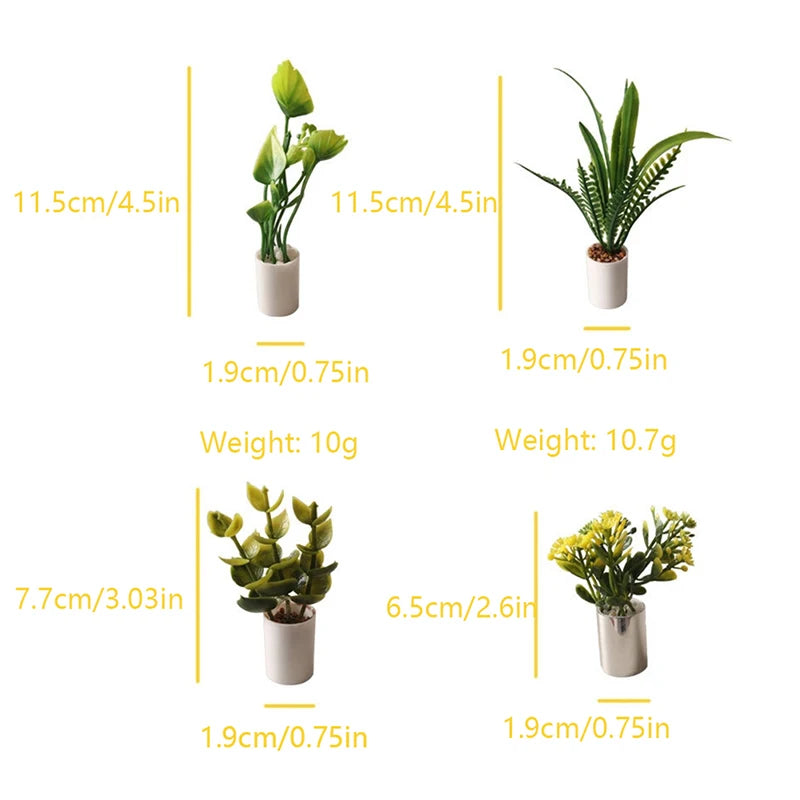 Mini Plant