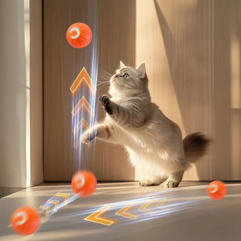 Smart Dog Ball