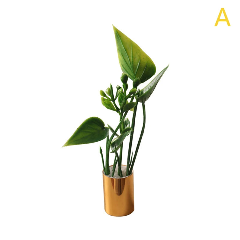 Mini Plant