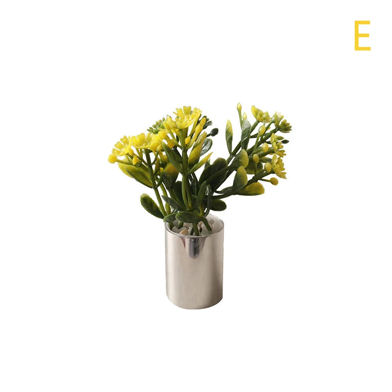 Mini Plant