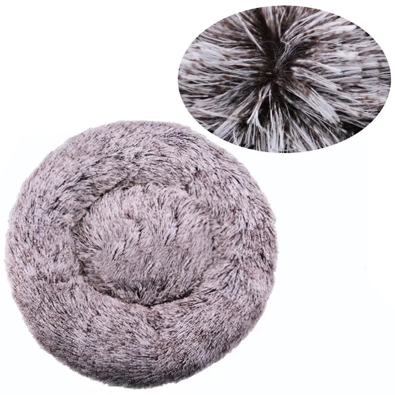 Pet Bed