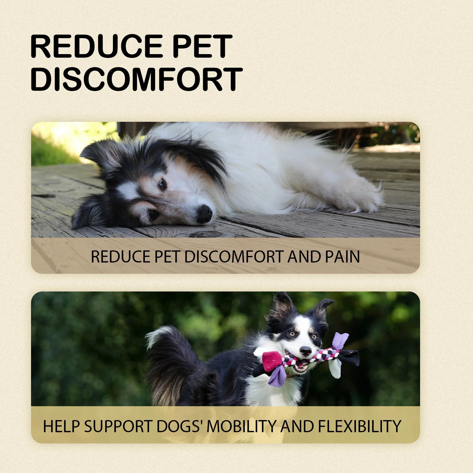Pets Joint Relief