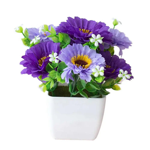 Chrysanthemum Flower