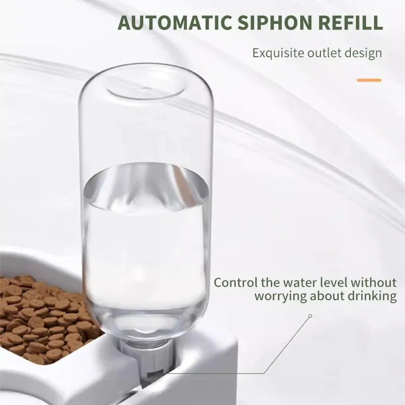 Suitable Pet Bowl Set