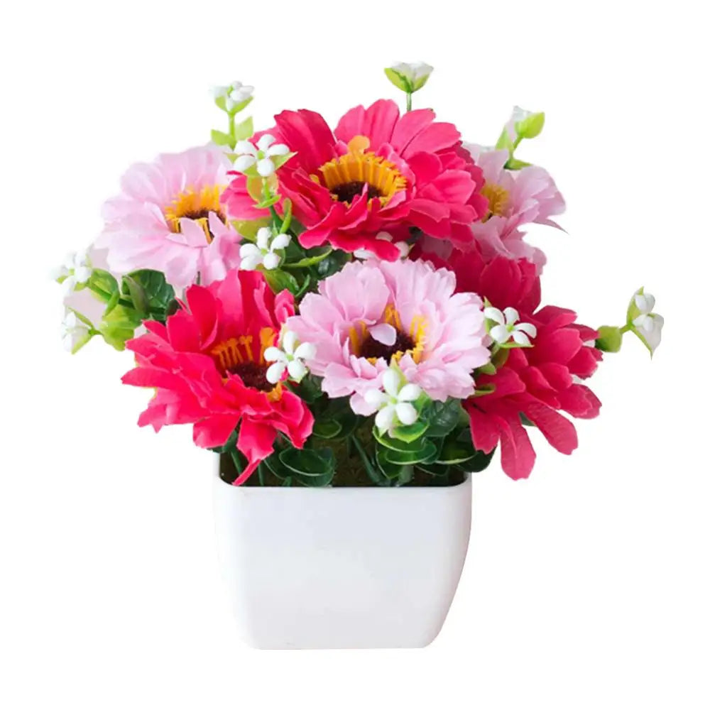 Chrysanthemum Flower