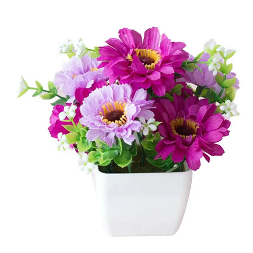 Chrysanthemum Flower