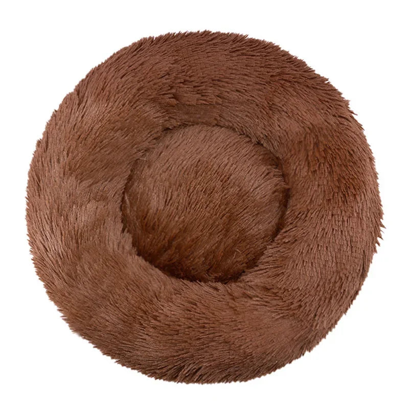 Pet Bed