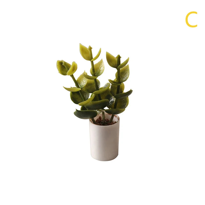 Mini Plant