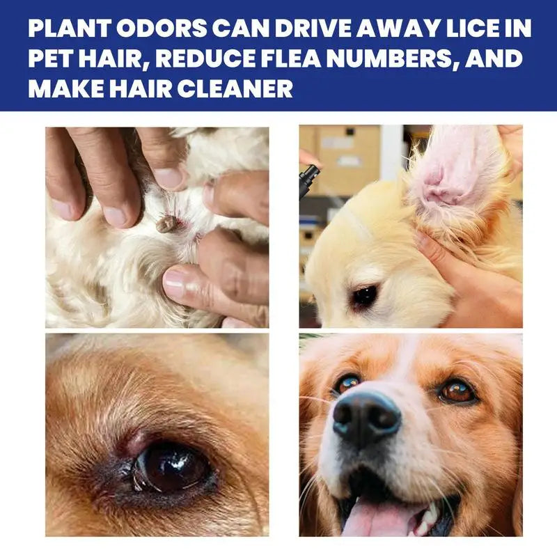 Dogs Tick Spray