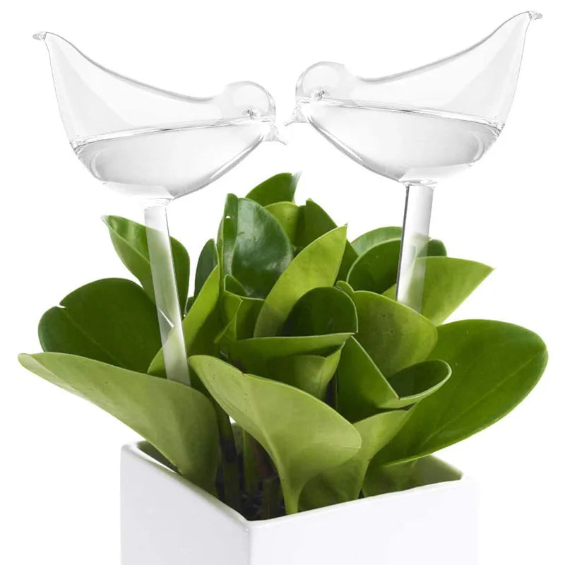 Automatic Plant Watering Bulbs Self Watering Ball/Bird Shape Water
