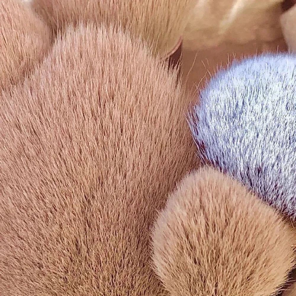 Eye Shadow Makeup Brushes