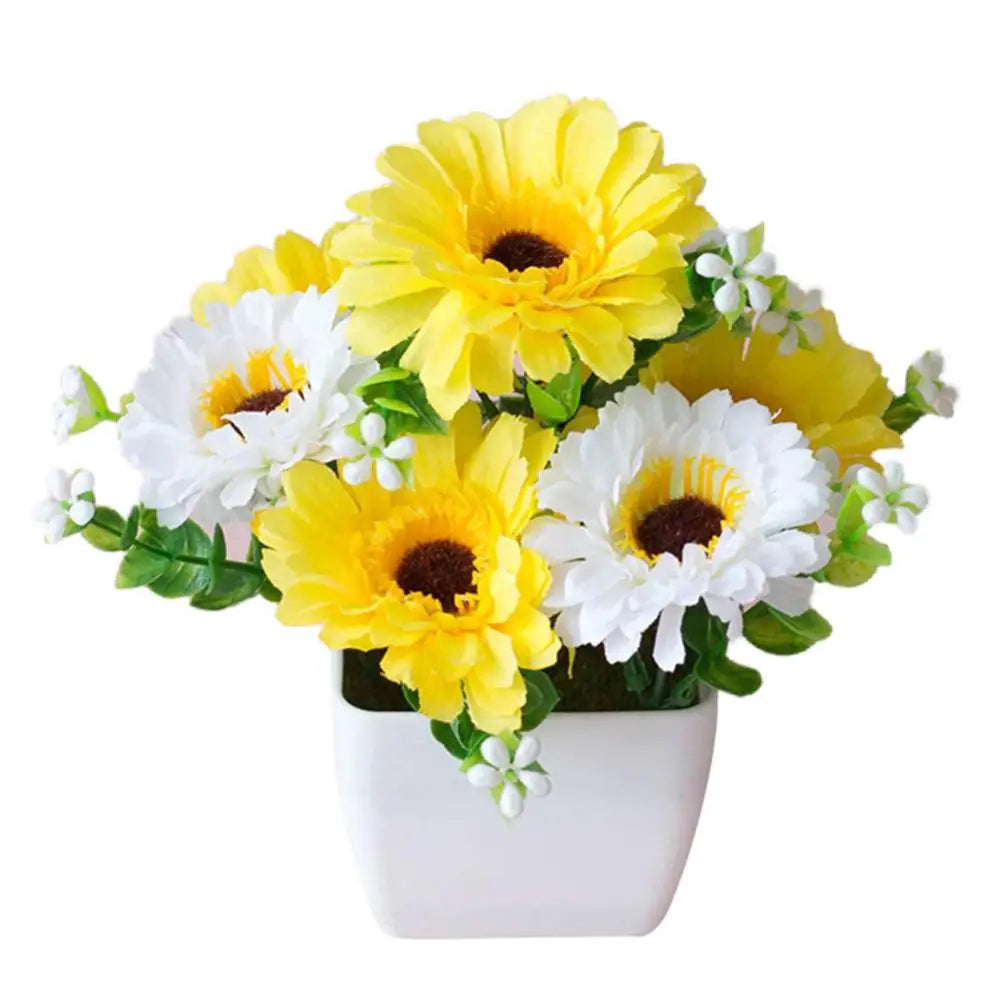 Chrysanthemum Flower
