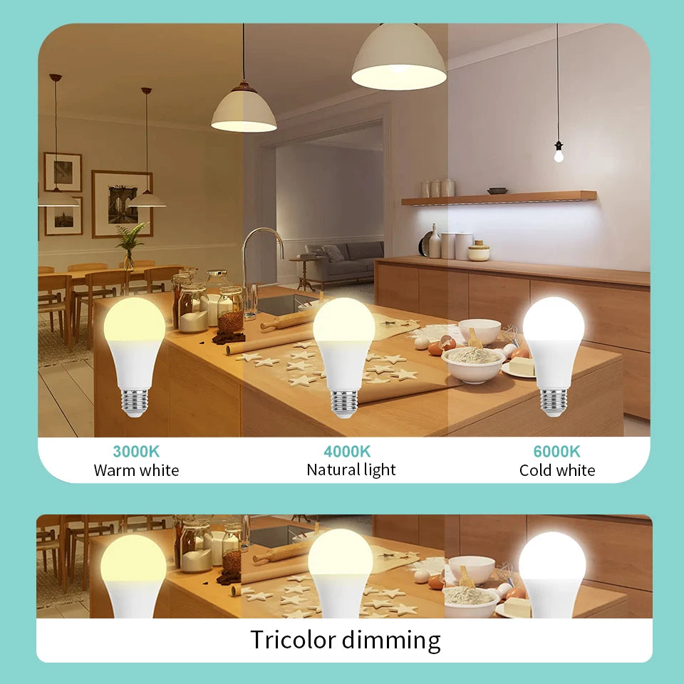 LED Bulbs