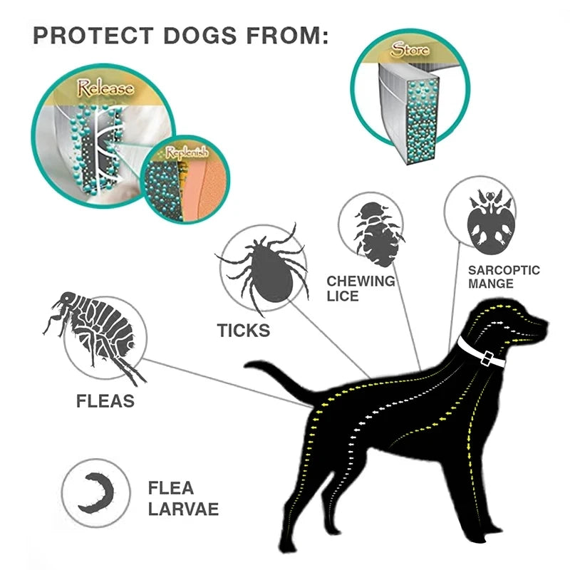 Flea Collar