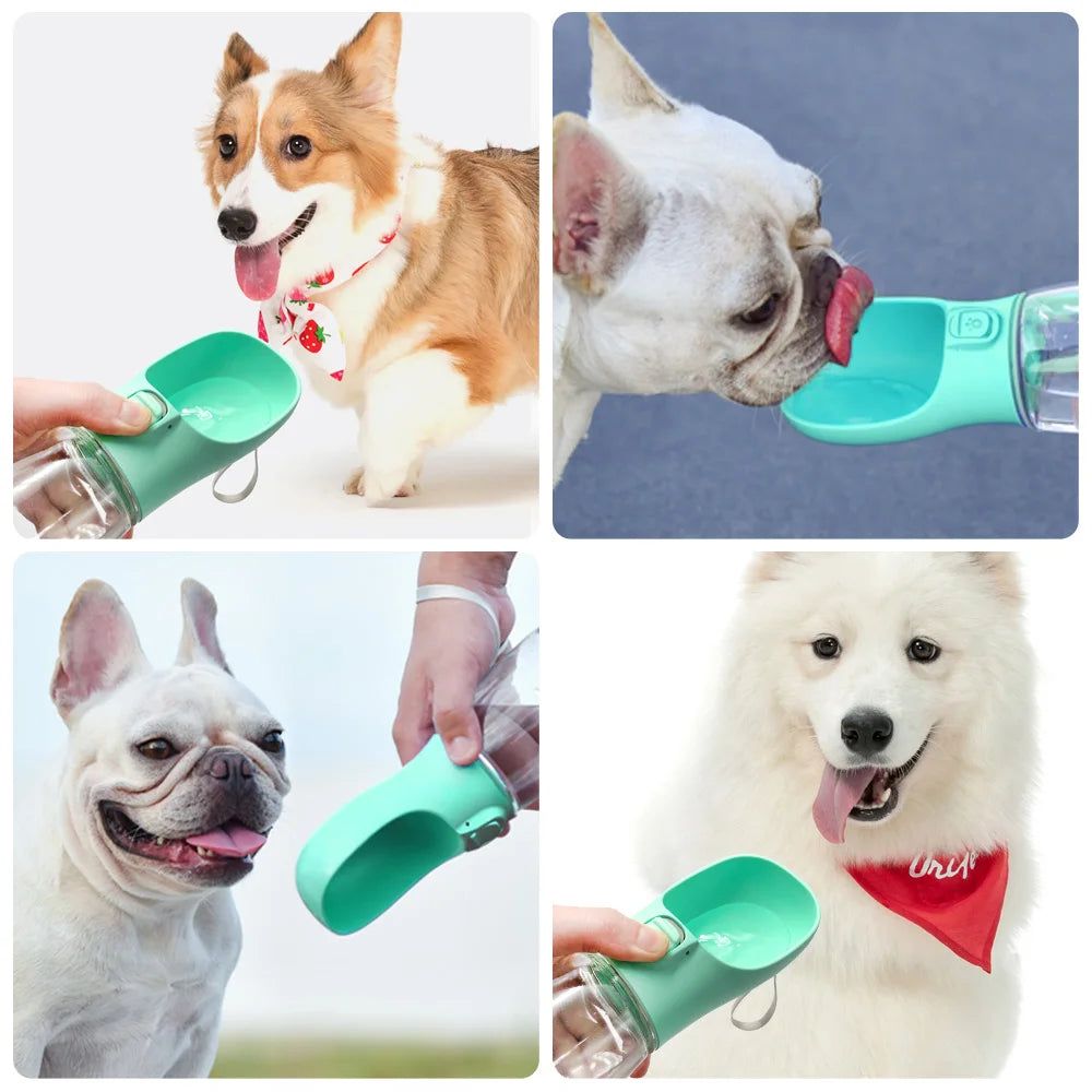 Dog Waterer