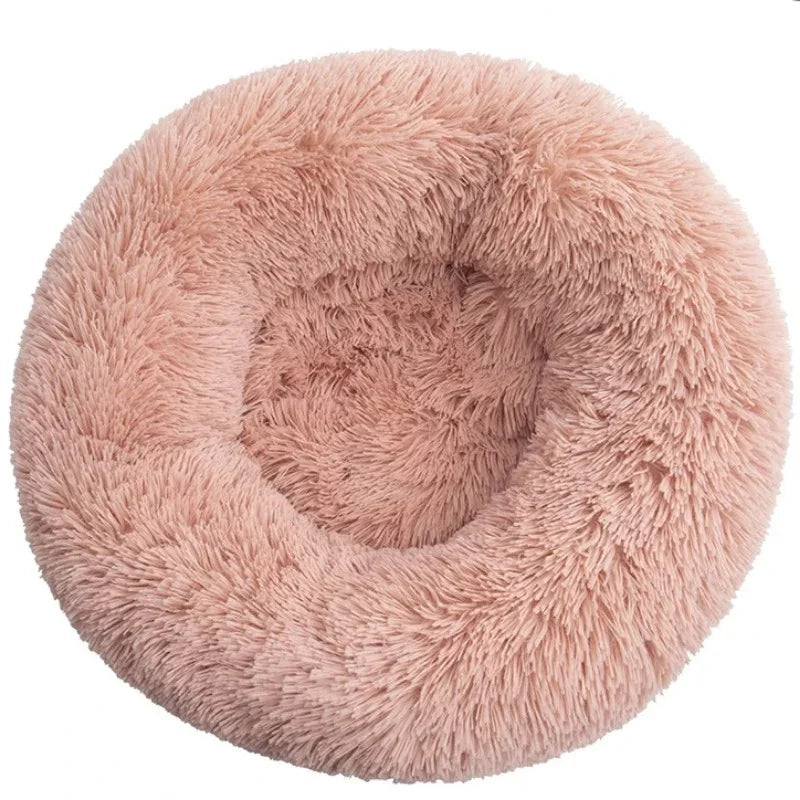 Pet Bed