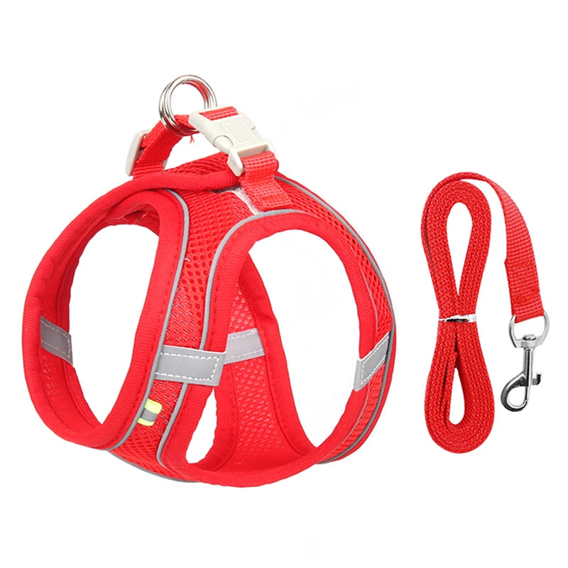 Dog Harness Set