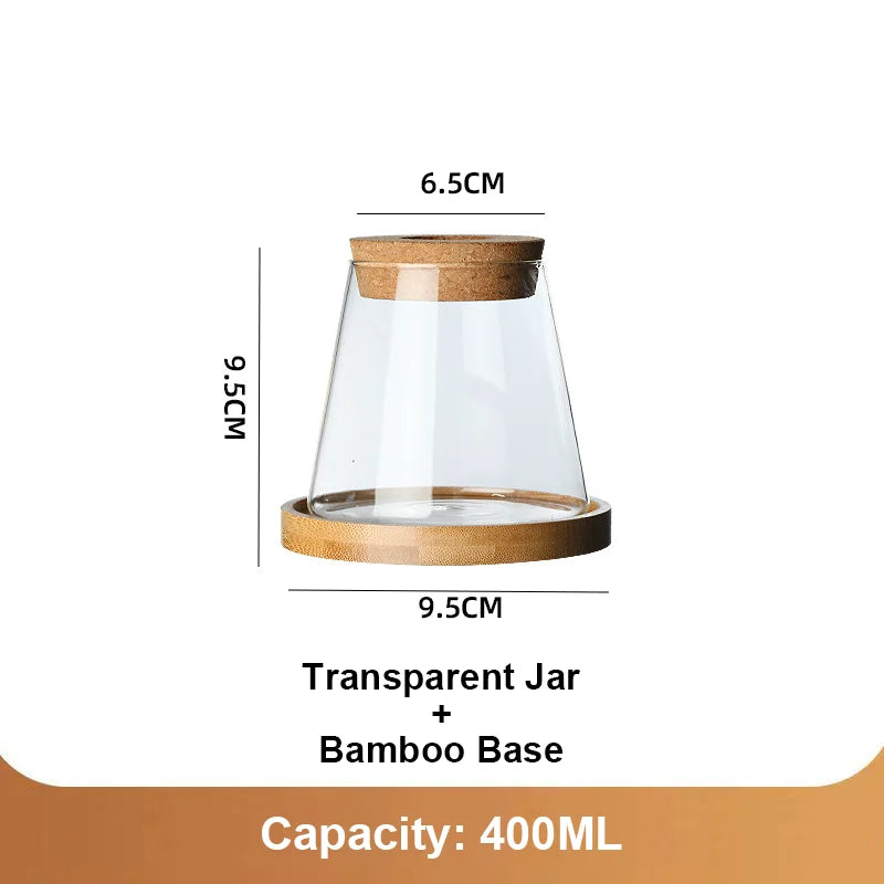 Home Decor Glass Vase Hydroponic Plant Volcano Small Vase Nordic Tabletop Simple Green Plant Mini Bottle With  Tray Flower Vases