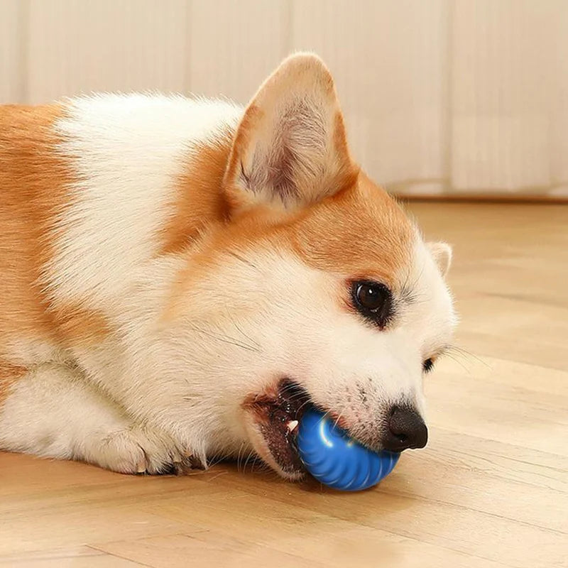 Smart Dog Ball