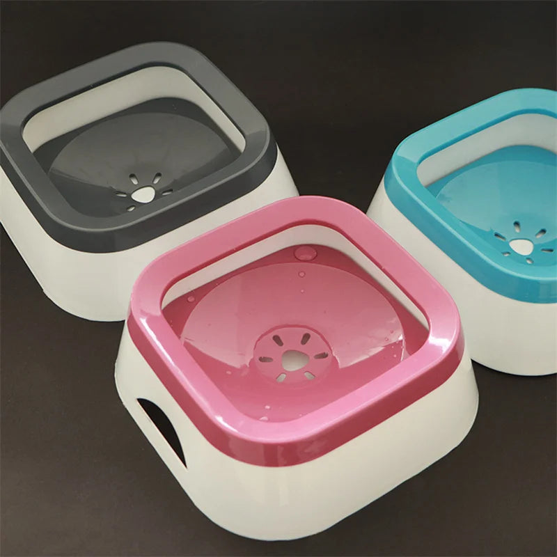 Splash Bowl