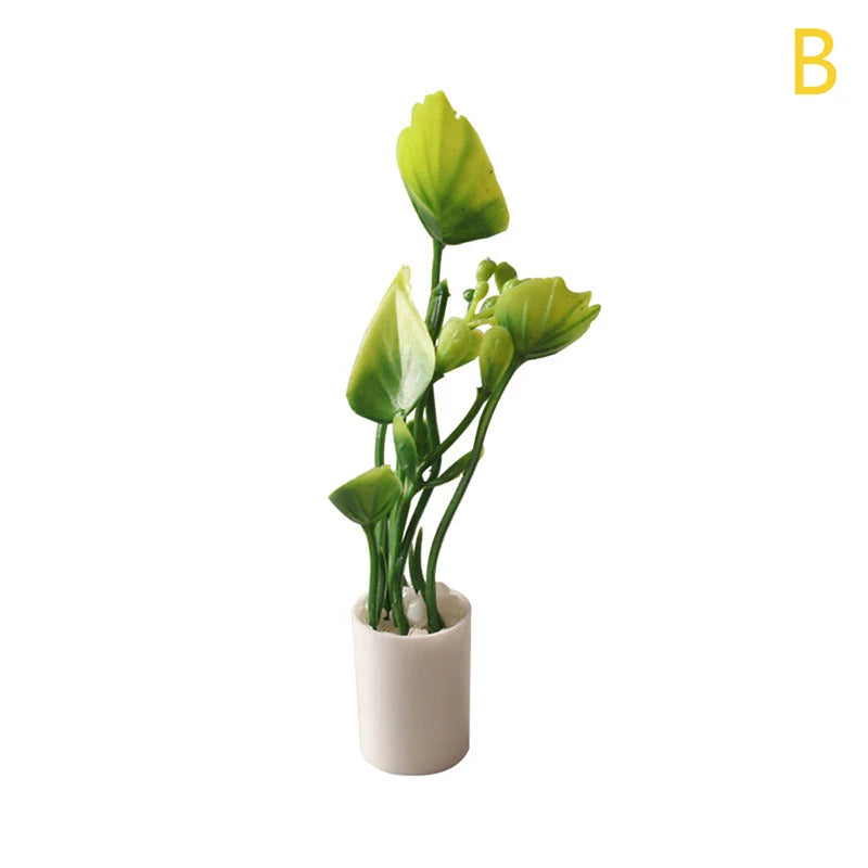 Mini Plant