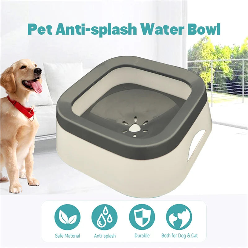 Splash Bowl