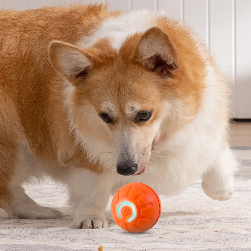 Smart Dog Ball