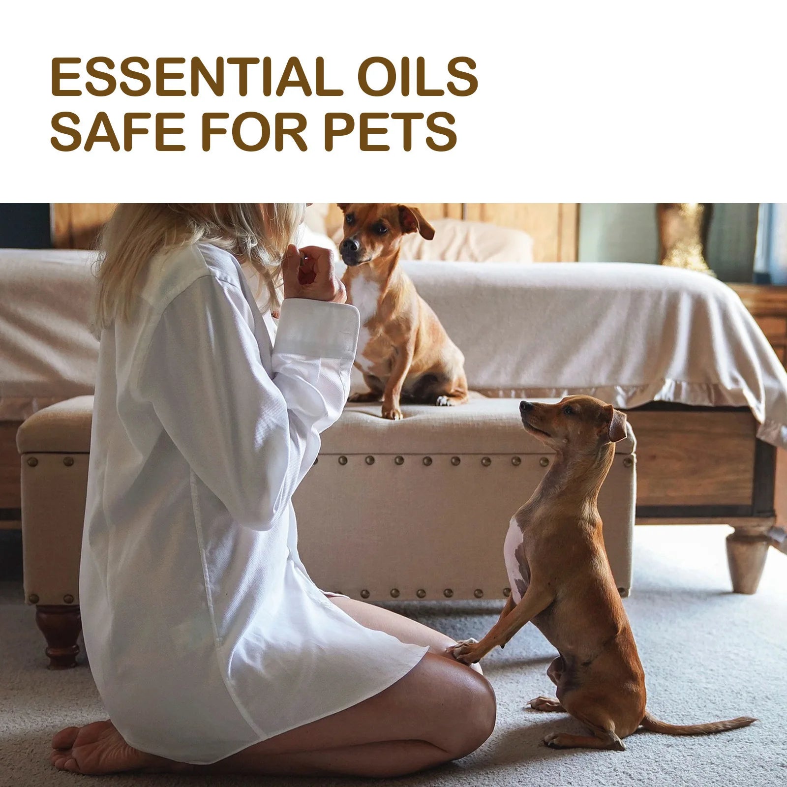 Pets Joint Relief