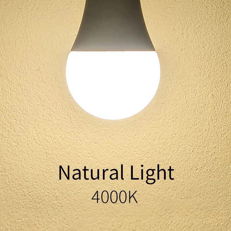 LED Bulbs