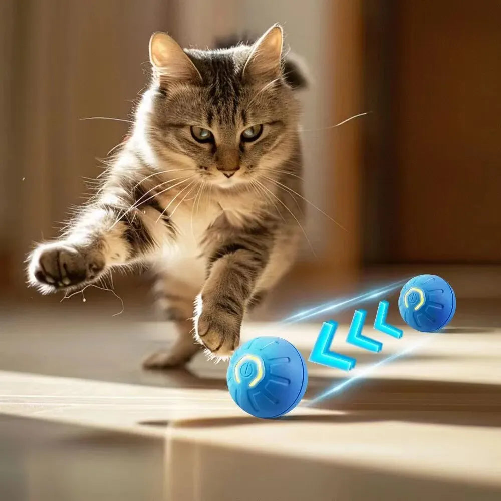 Smart Dog Ball
