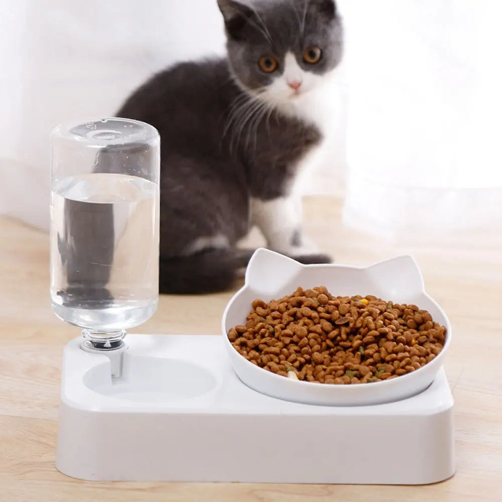 Vertebrae Dog Food Bowl