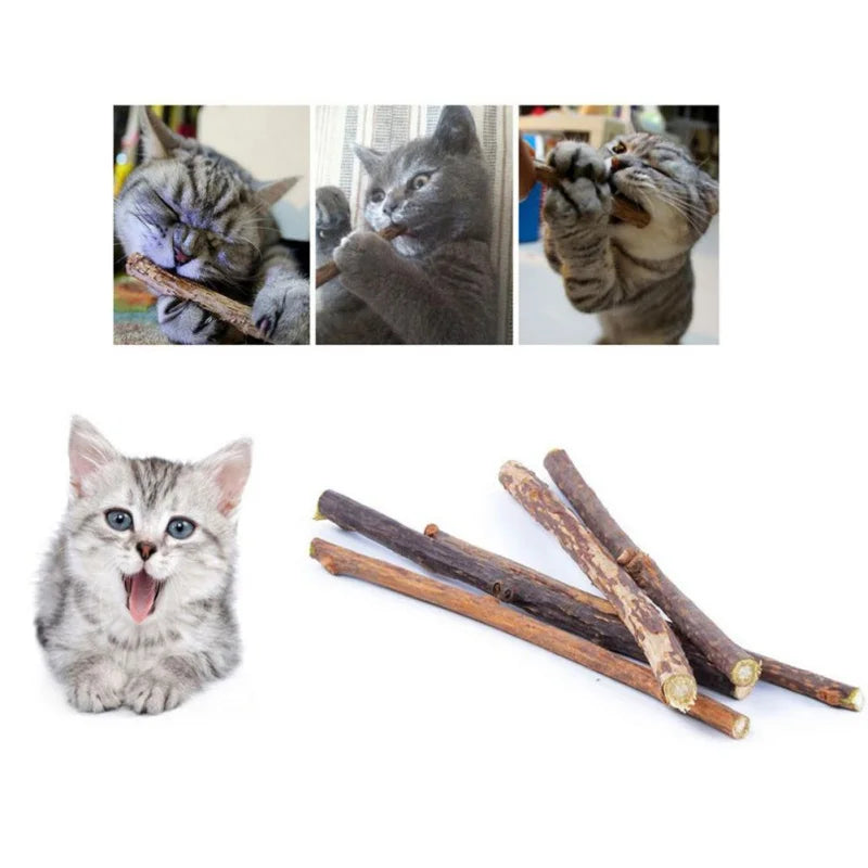 Catnip Sticks