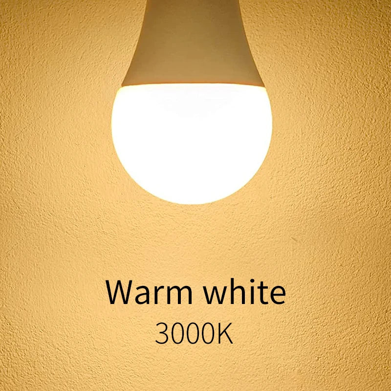 LED Bulbs