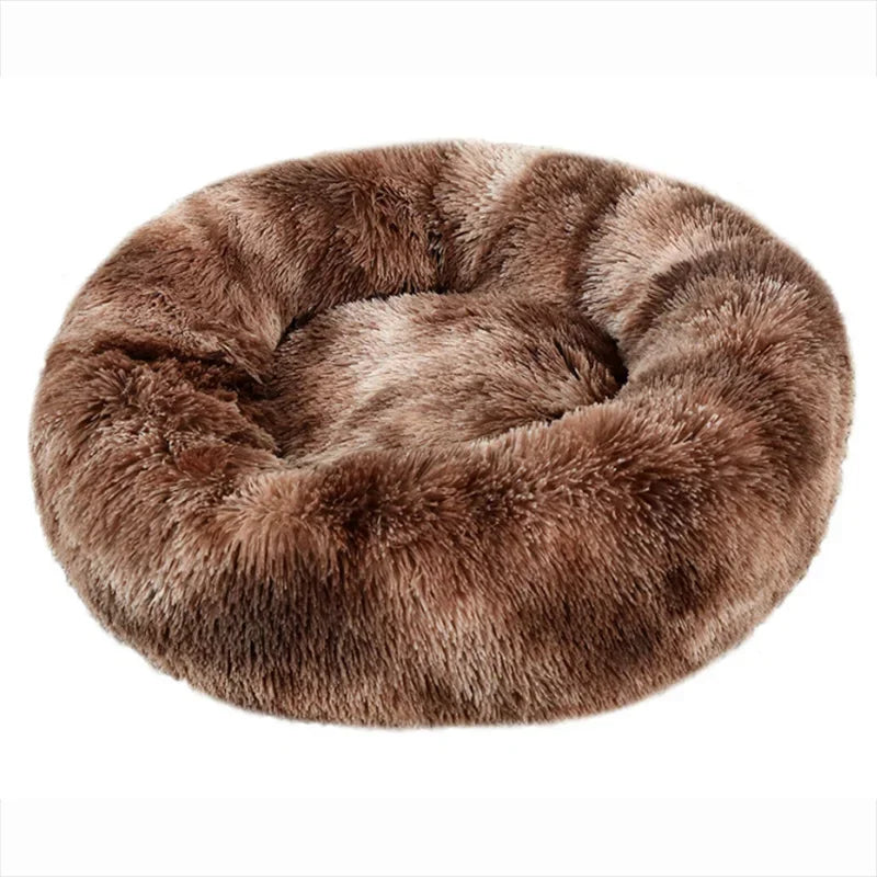 Pet Bed