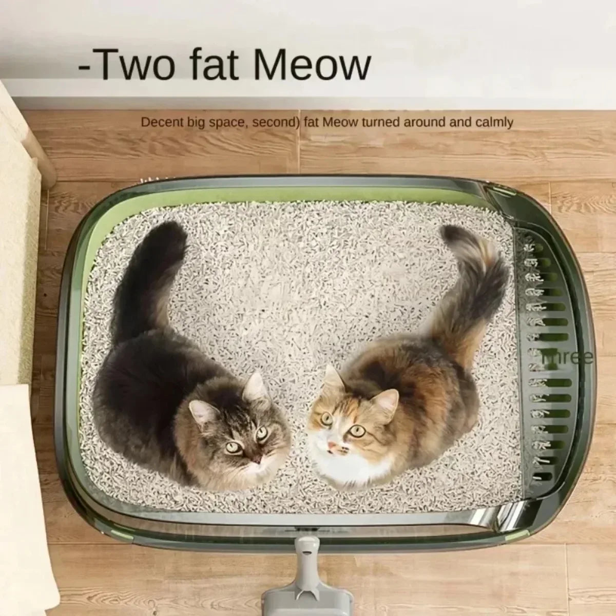 Cat Litter