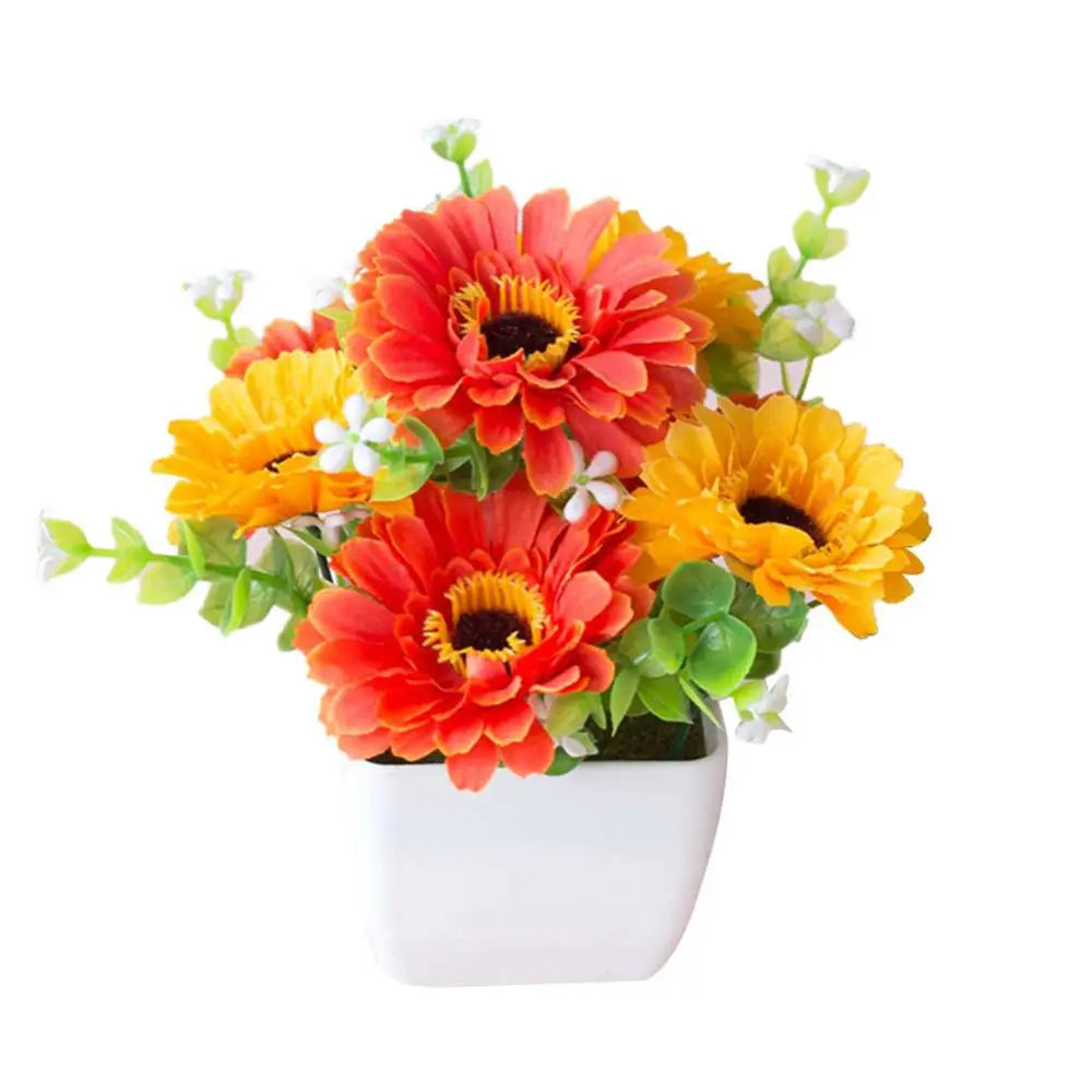 Chrysanthemum Flower