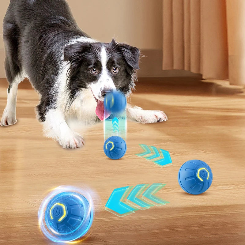 Smart Dog Ball