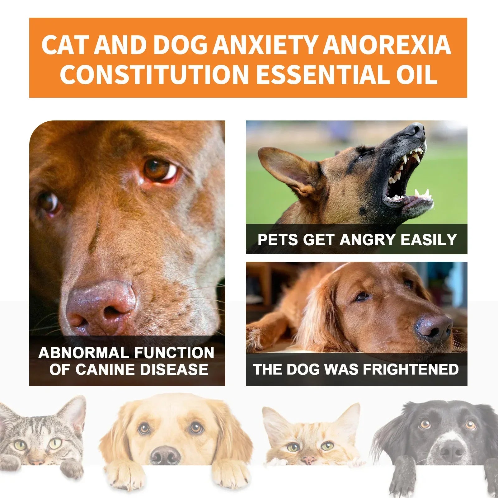 Calm Drops for Pets
