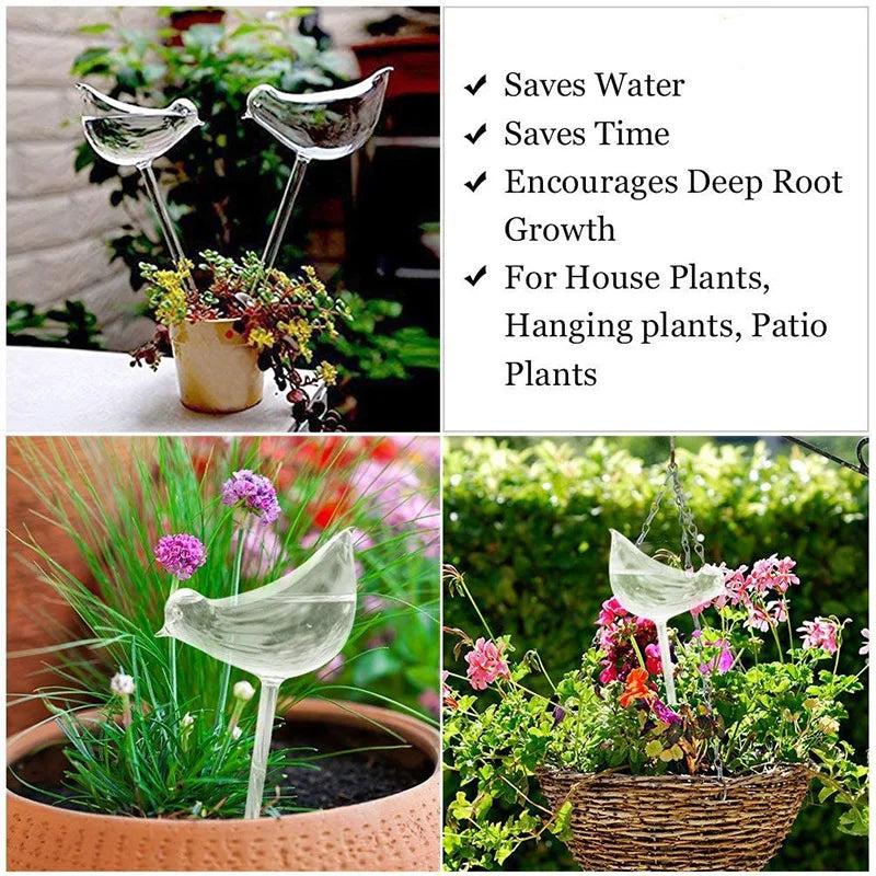 Automatic Plant Watering Bulbs Self Watering Ball/Bird Shape Water