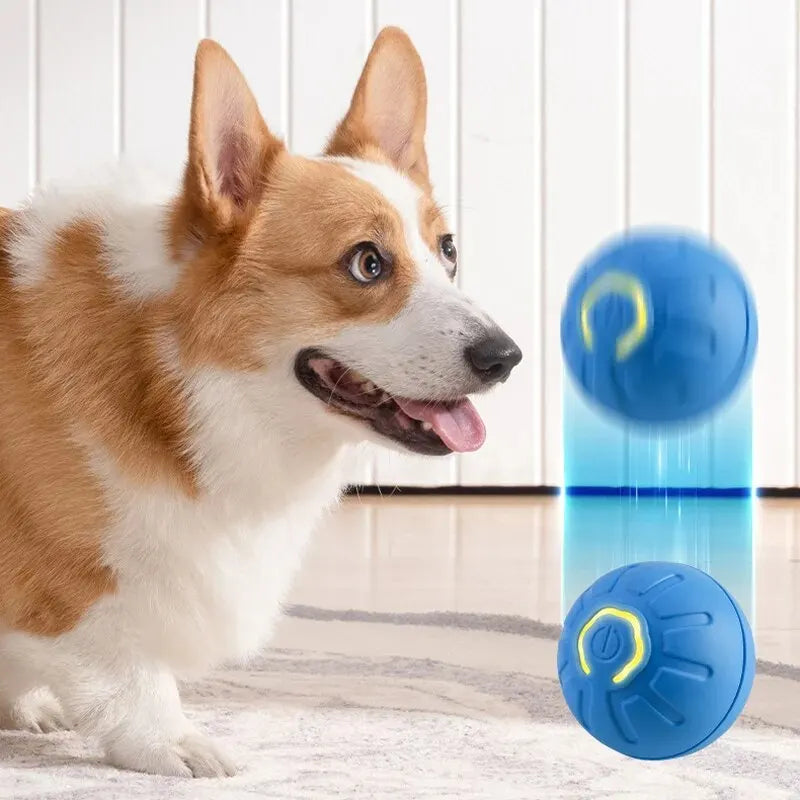 Smart Dog Ball