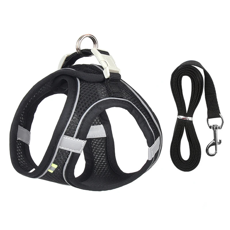 Dog Harness Set