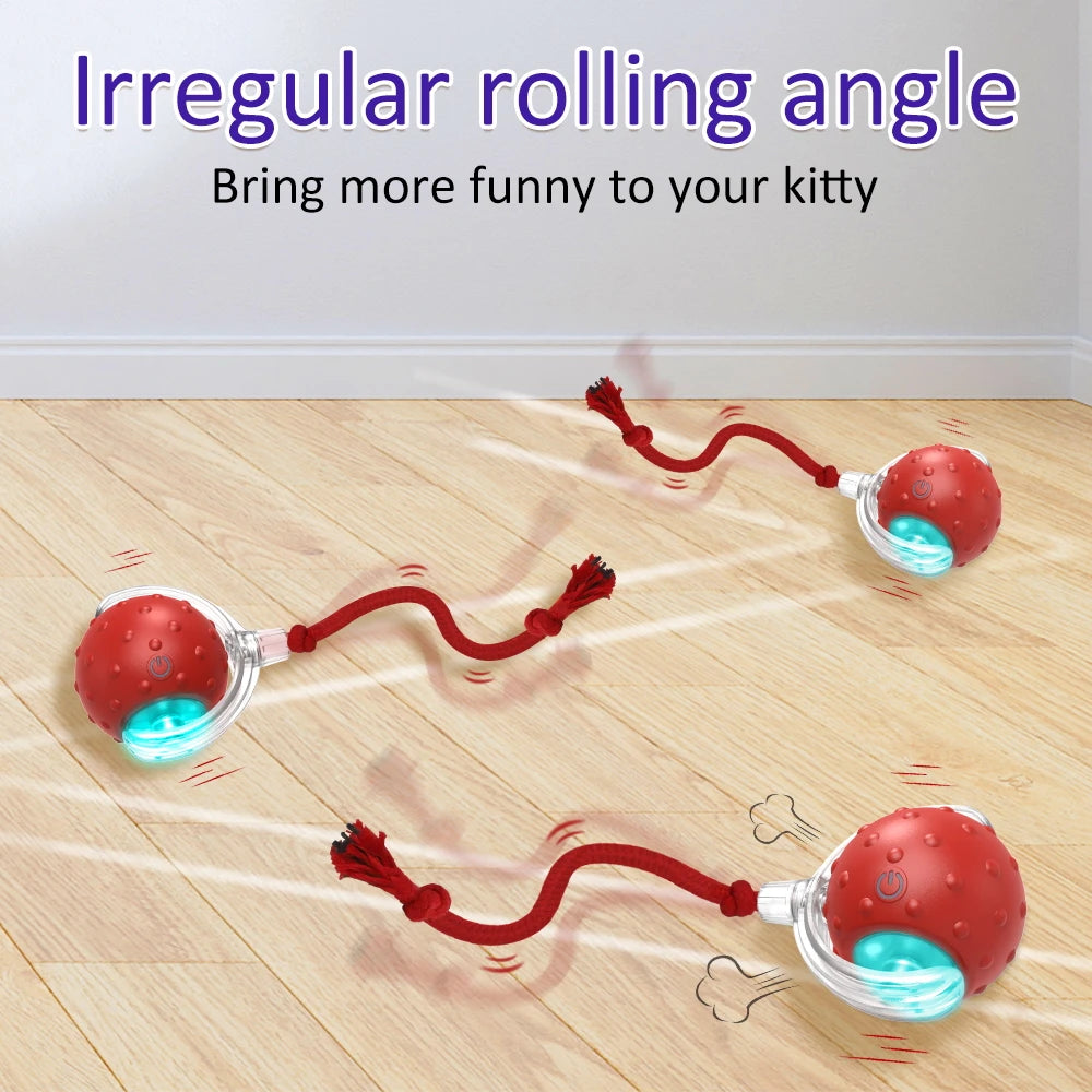 Cat Toy Ball