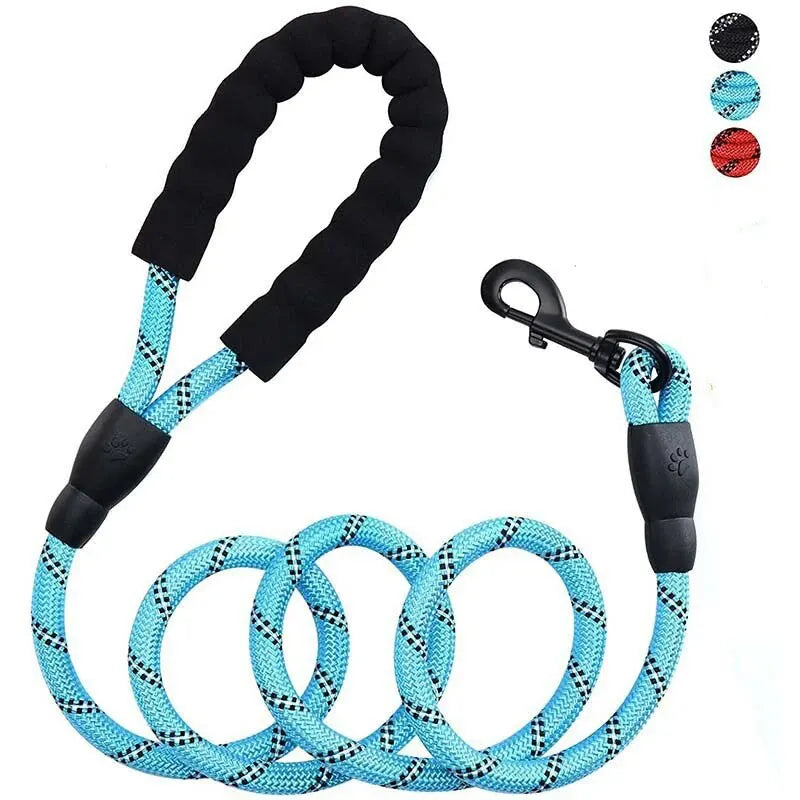 Reflective Leash